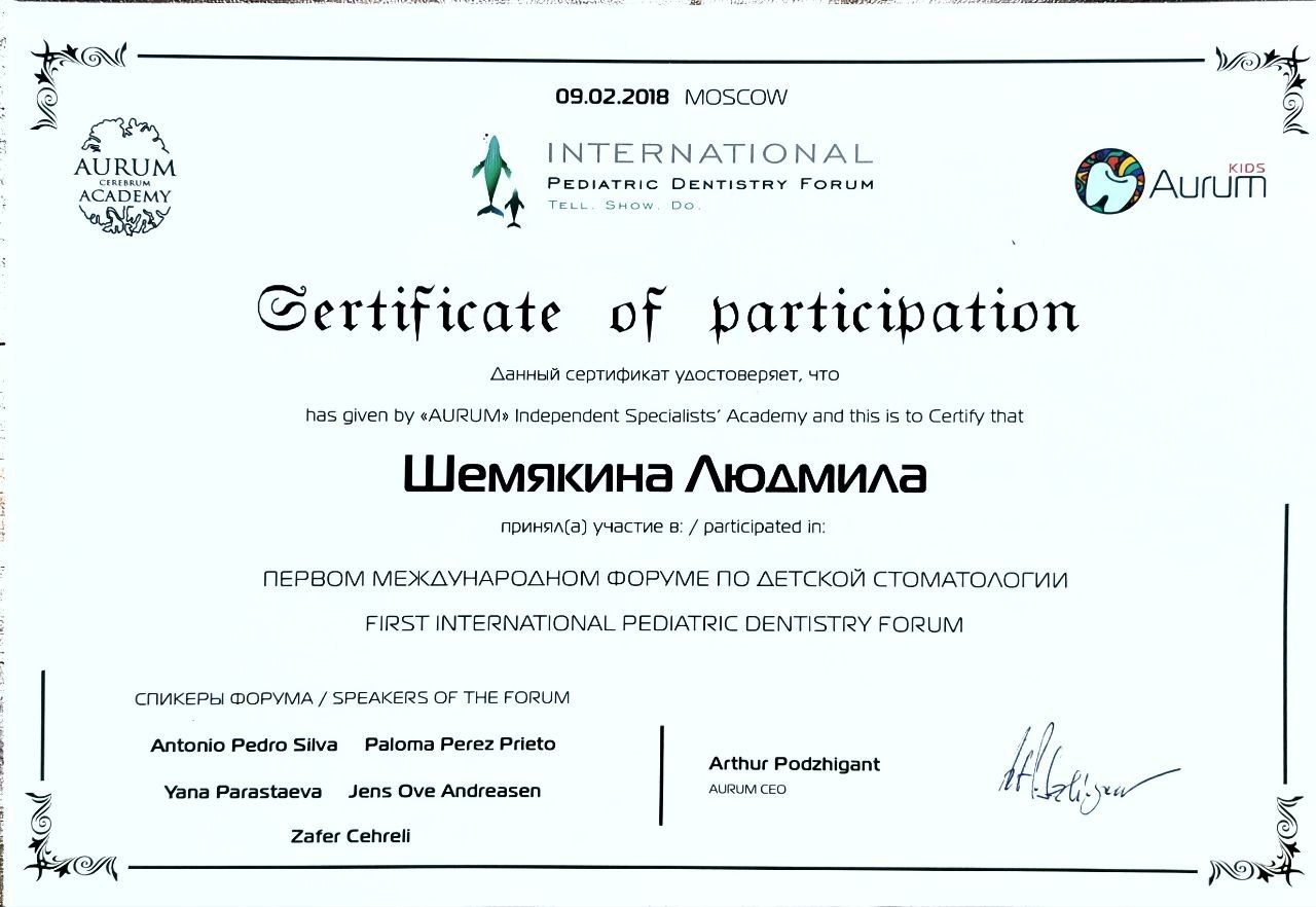 Диплом или сертификат — Шемякина Людмила Евгеньевна