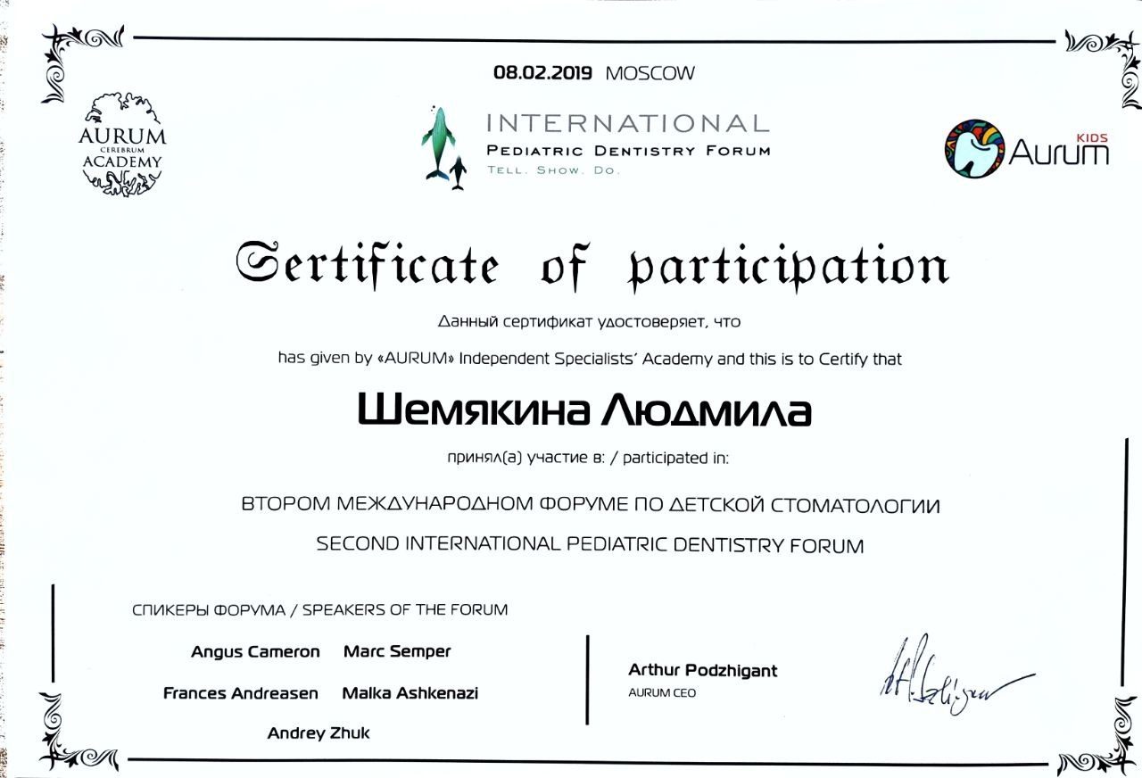 Диплом или сертификат — Шемякина Людмила Евгеньевна