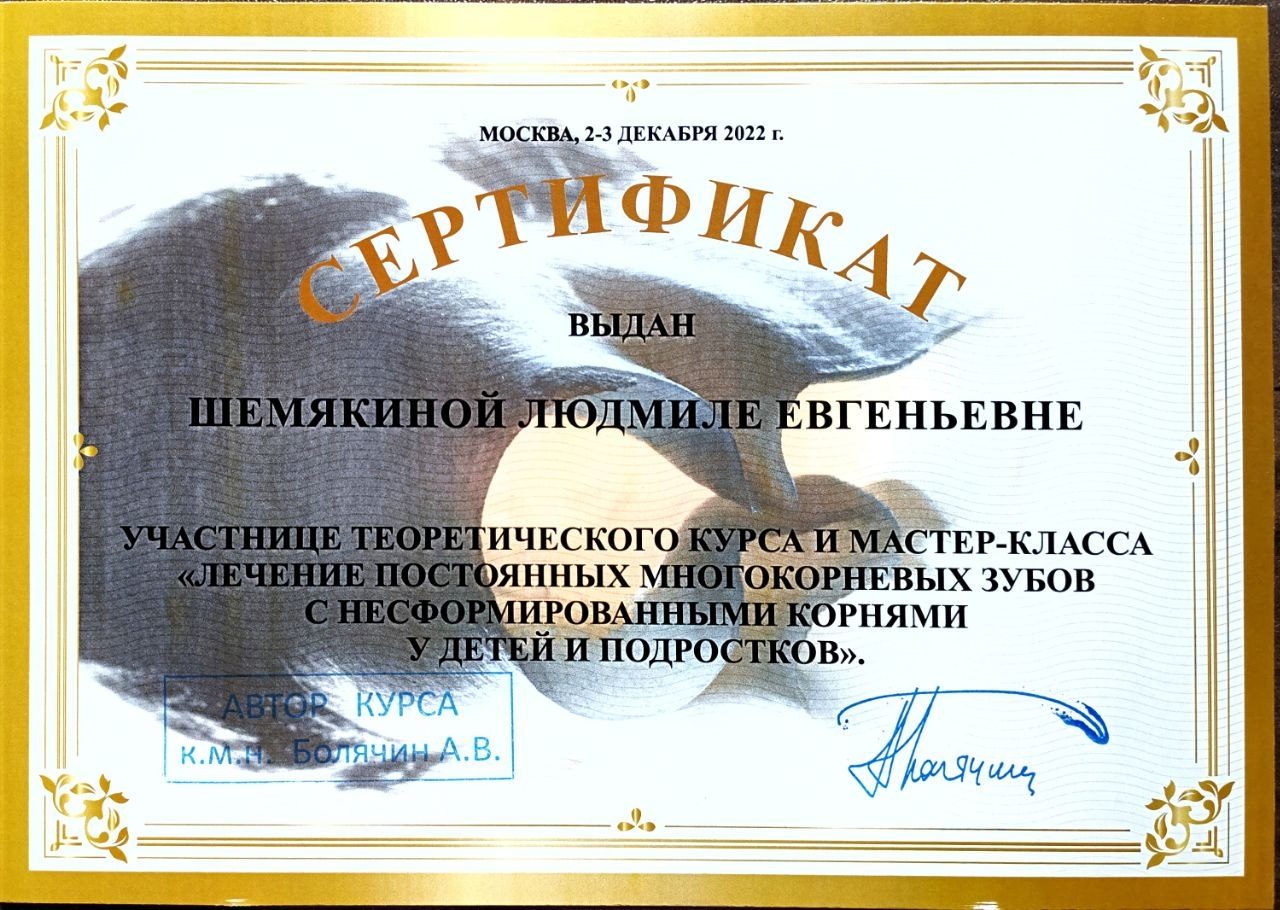 Диплом или сертификат — Шемякина Людмила Евгеньевна
