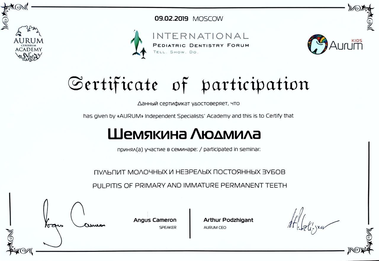 Диплом или сертификат — Шемякина Людмила Евгеньевна