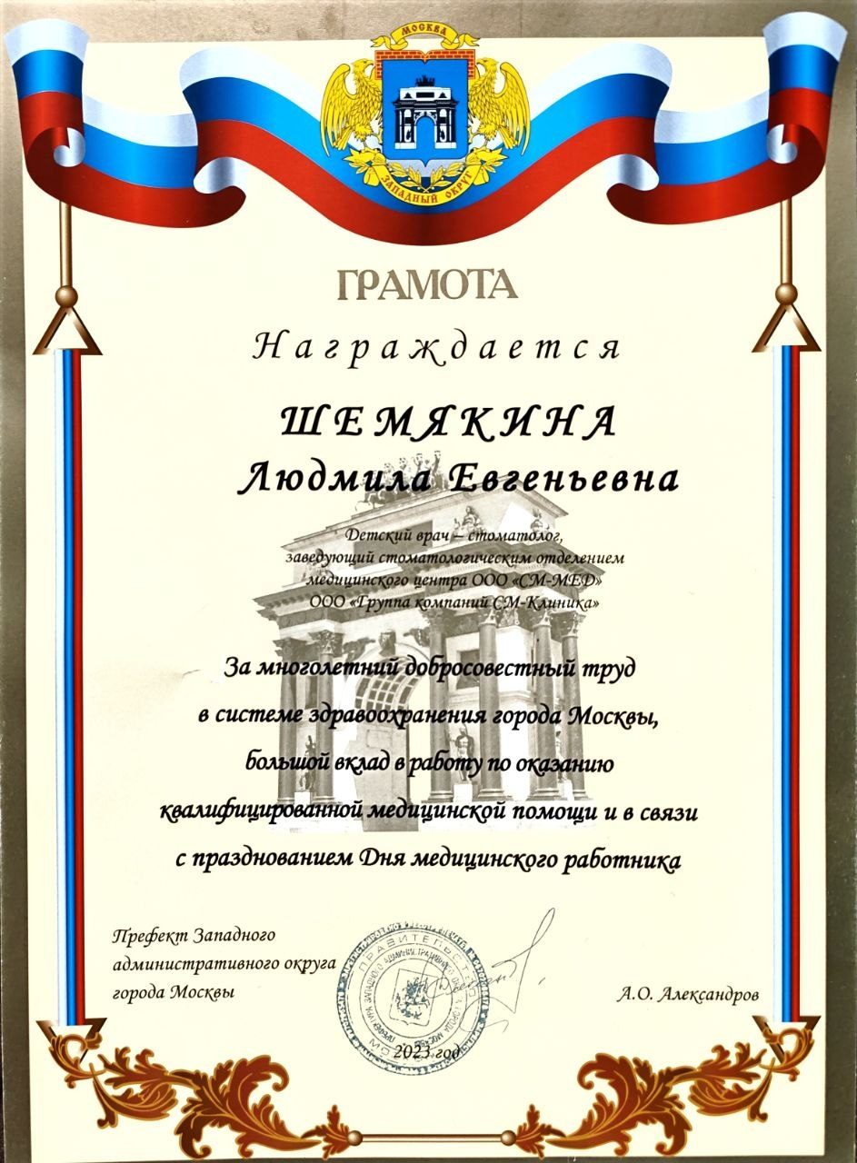 Диплом или сертификат — Шемякина Людмила Евгеньевна