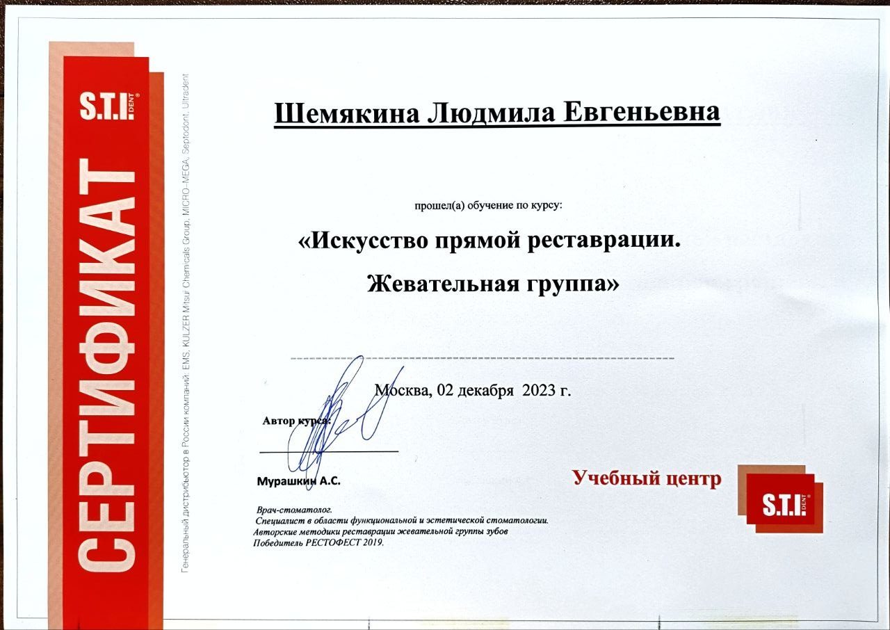 Диплом или сертификат — Шемякина Людмила Евгеньевна