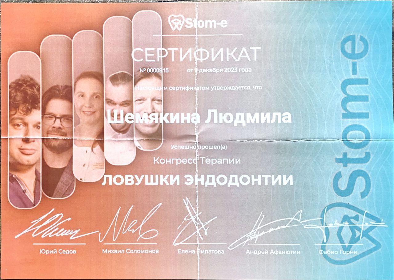 Диплом или сертификат — Шемякина Людмила Евгеньевна
